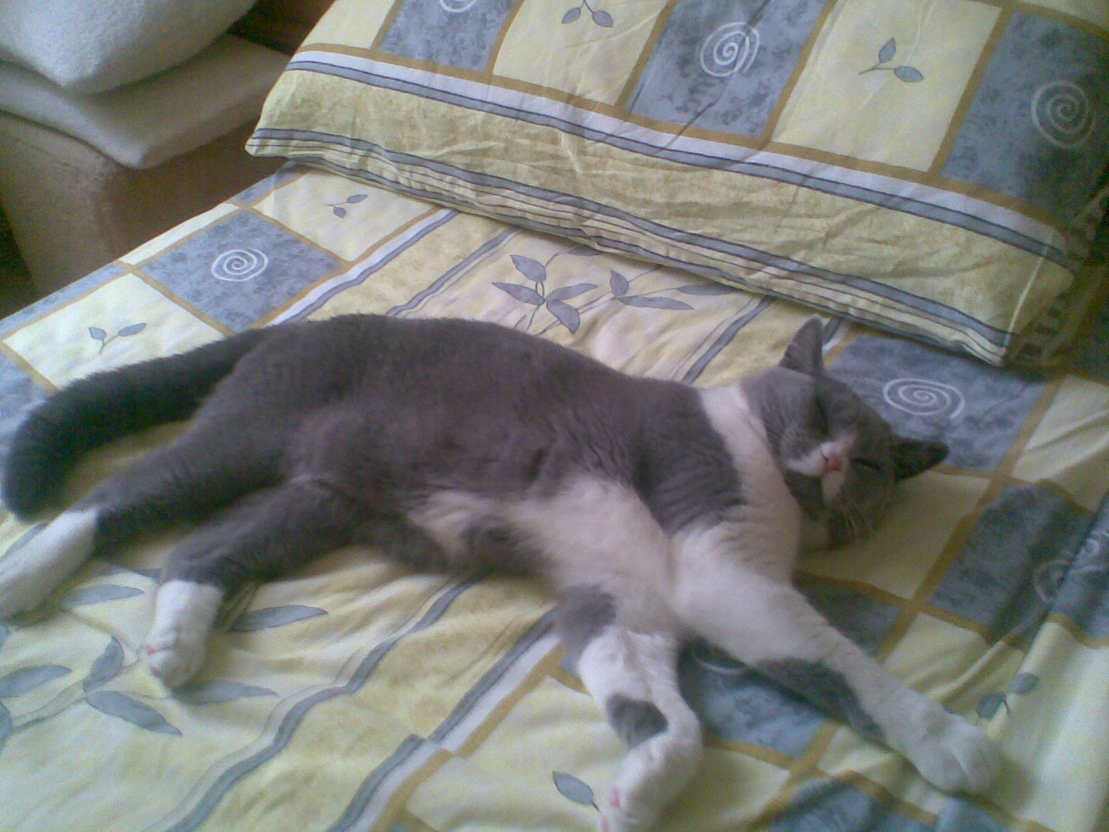 Obraz056.jpg