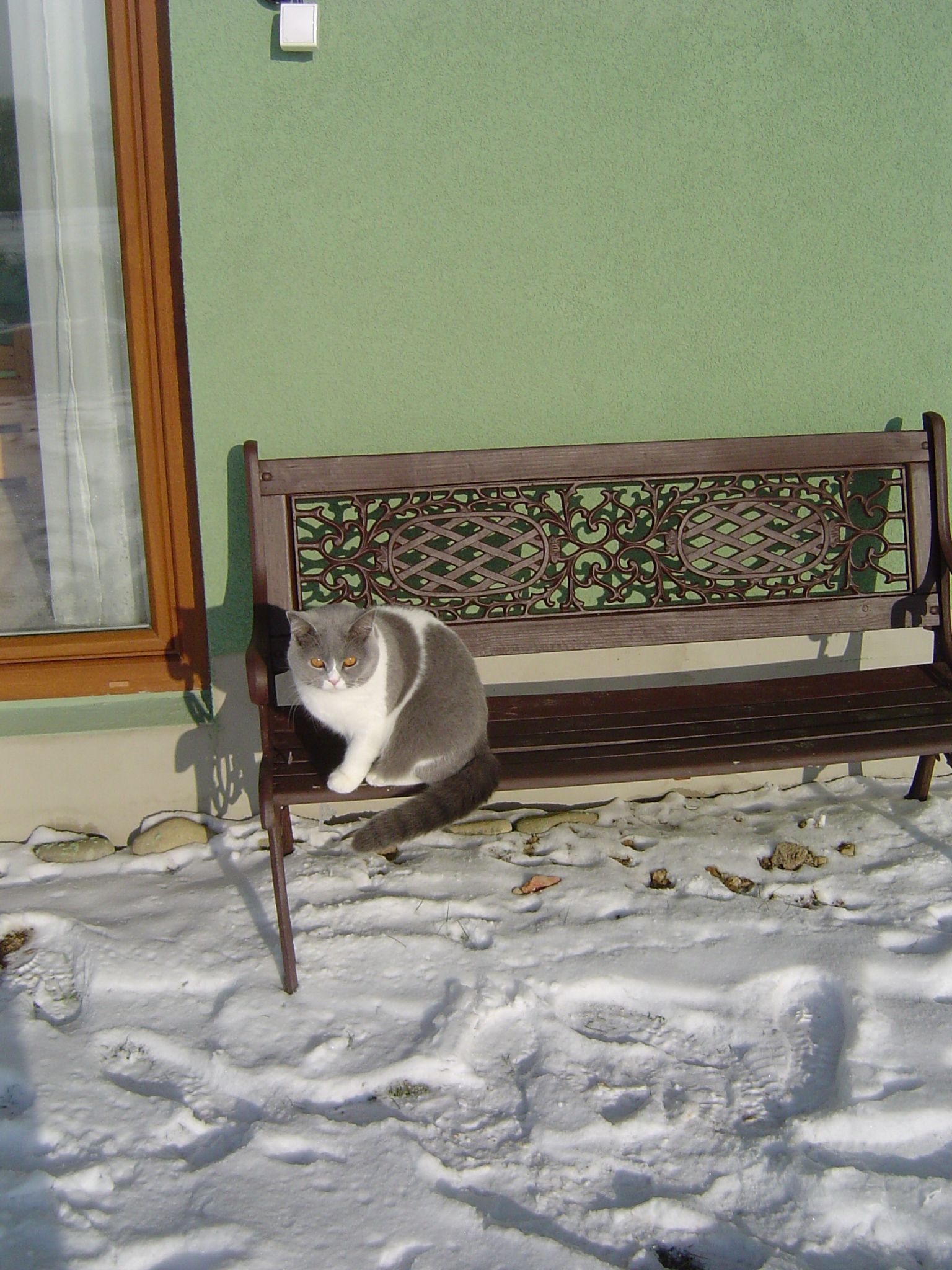 Snímek 030