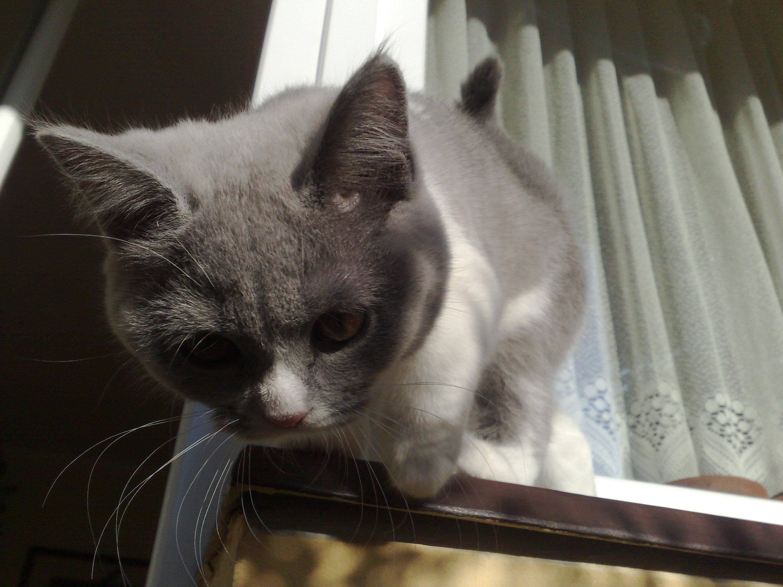 280320091113.jpg